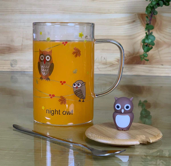 Night Owl Glass Coffee Tea Mug with Lid & Spoon